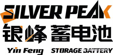 好漢鄆城 銀峰集團南中國區能源產業園區的創新崛起與互聯網銷售轉型